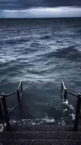 #meme #videohaihuoc #funny #xuhuong #viral 