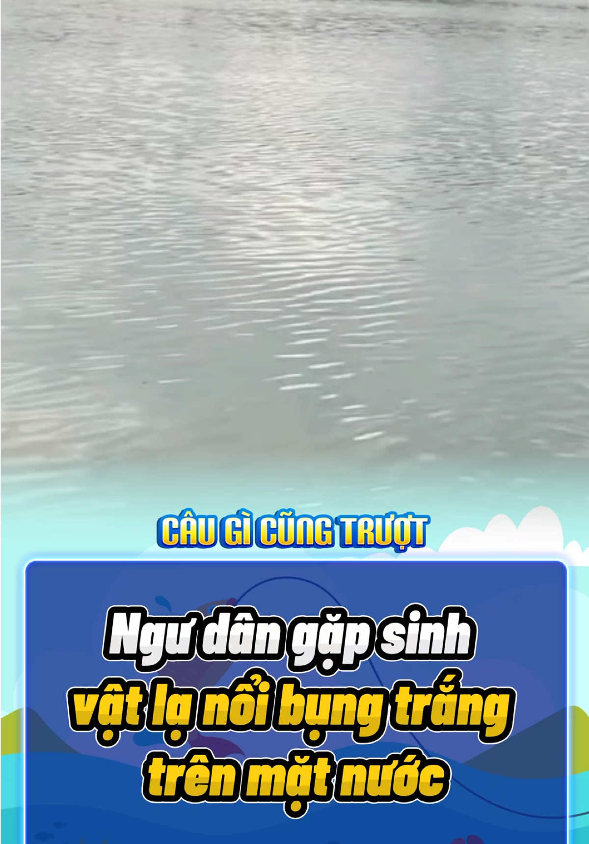 Ngư dân gặp sinh vật lạ nổi bụng trắng trên mặt nước! #fishing #fishinglife #rarecatch #fishingtok #fyp 