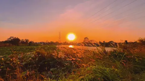 Hoàng hôn chill 🌾 #xuhuong #canhdepthiennhien #angiang #chill 