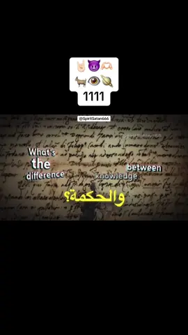 المعرفة والحكمة: رحلة الفهم الحقيقي #المعرفة_والحكمة #الفرق_بين_العلم_والفهم #الحياة_والتعلم #الذكاء_الحقيقي 