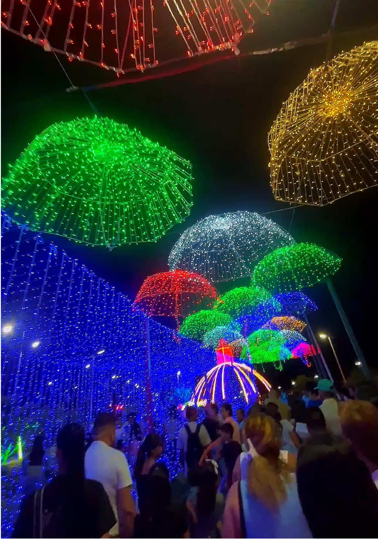 La noche de hoy viernes, último viernes del mes de noviembre, llegó la navidad al Paseo Independencia/Dr. José Gregorio Hernández, acompañado de un acto musical para todos los presentes… ¿Que te pareció?👇🏻 @aldiaconbarinas2 🎄 • #aldiaconbarinas #barinas #barinasvenezuela #navidad #viernes 