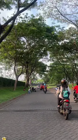 Araya📍(Malang) #malang #malanghits #malang24jam #malangraya #malangterkini 