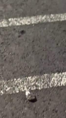 Rumahmu dimana 🤔 #stylo160 #malangculturestyle #penggunaring17 #savering17 #fypmu 