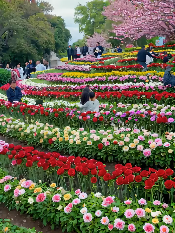 The joy of harvest never gets old #asmr #rural #village #viral #Amazing #foryoupage #viralvideoシ #amazing #reelsviralシ #amazingvoice #viralpost