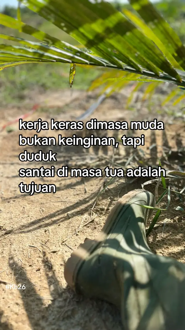 #fyp #foryou #fyppppppppppppppppppppppp #kelapasawit #petanimuda 