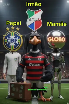 E agora Flamengo?  💚💚💚👉 Segue aqui o perfil! Aqui é meme, resenha e Palmeiras todo santo dia.  #palmeiras #futebol #flamengo 