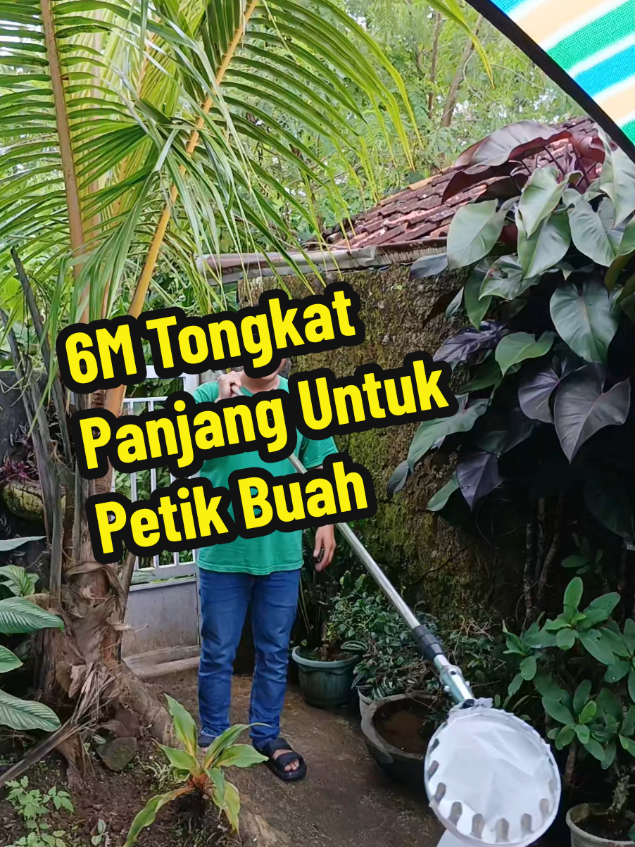6M Tongkat Panjang Untuk Petik Buah #petikbuah #alatpetikbuah #tongkatpetikbuah #fyp #viral 