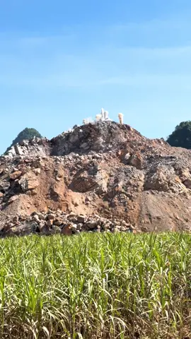 🌾 Hoa cầm trên tay vẫn là hoa của đất. 💞 Người trong lòng dù long trời lở đất vẫn thương ⛰️ #caotocdongdangtralinh #thicong #cauduong #xuhuong 