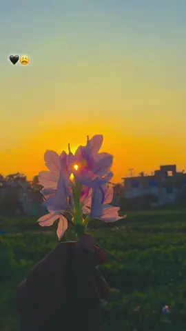 🖤😩............................................. #প্রাকৃতিক_সুন্দর্য_আমার_মুগ্ধকরে🏞🍀🥰💝💝 