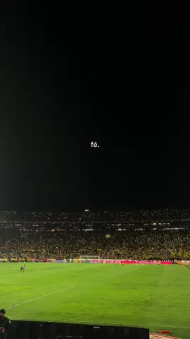 vamos los tigres carajo!!💪🏾🇸🇪#tigres #tigresuanl #ligamx #remontada #gignac 