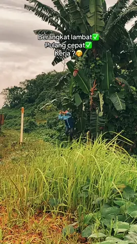 Fyppp_Mata elang😁