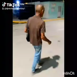 Quién Dejó La Puerta Abierta Que Se Escapó El Pequinés