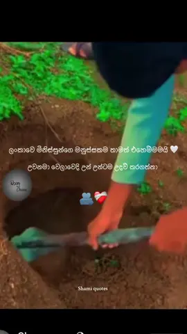 සියලු සත්වයෝ ආරක්ශා වේවා 🙏#srilanka #ganwathura #helpfulvideo #helpfulpeople #2025 