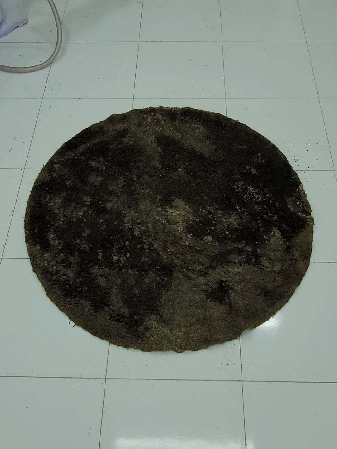 Cleaning a muddy carpet with a surprising result #satisfyingvideo #asmrcleaningvideo #CLEANING #rugcleaning #asmrsounds #RugCleaning #asmr #ASMR