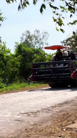 Bữa cuối rồi dìa quê nha ae 🤭#xuhuong #xuhuongtiktok #2003❤️ #vanqui 