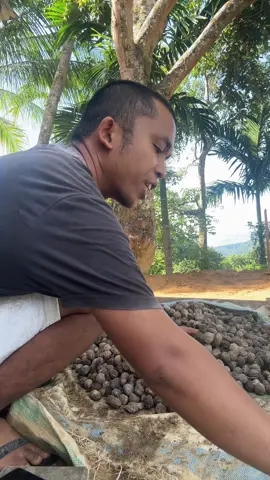 Manyolak nyolak  #fypp #fypp #fypp 