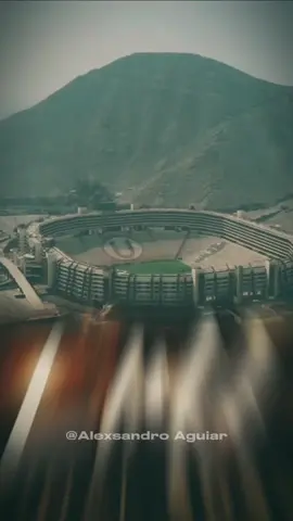 Hoje tem Flamengo vs Palmeiras,na  final da libertadores. Qual seu palpite!! #gloriaeterna #libertadores #vamosflamengo #pracima #srn 