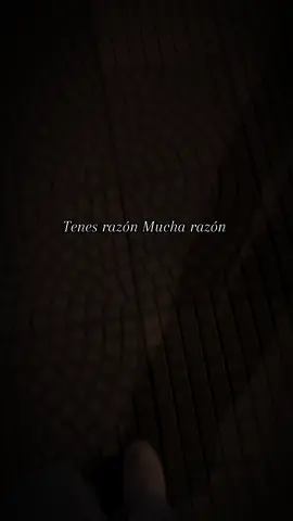 Tenes razón #chaqueñopalavecino#folkloreargentino #argentinatiktok #fypシ゚ #tarija🇮🇩 