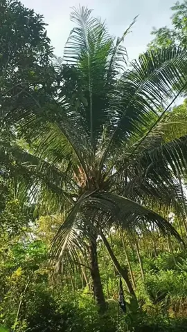 good morning para pembencii😙 #5tpgank🚀 #5tp_jupiterz #5tprasepele #masukberanda #fyp 