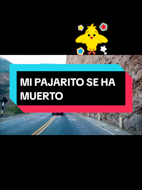 mi pajarito se ha muerto #humor #juancitosicra #pajarito #musica #loschoques 