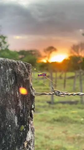 Diciembre llegó contento #llano #caballos #llanera @Jorge F. Guerrero S. 