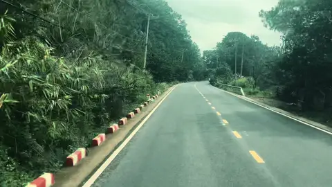 Thà sống thẳng thắng mà lắm kẻ ghét  Còn hơn là sống nịnh nọt giả dối lòng ba hoa ! #xerau49lamdong #xuhuongtiktok #trending #xuhuong 