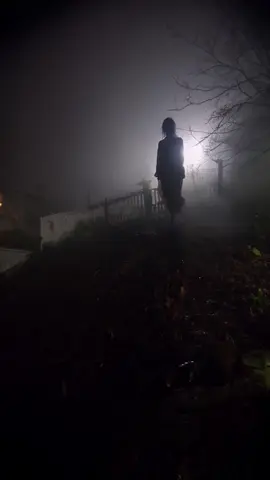 Something came out of the treeline last night… and it floated straight toward the house. I don’t think it’s human. #H#HorrorTokF#FoundFootageC#CreepyVideosN#NightmareFuelScaryTok