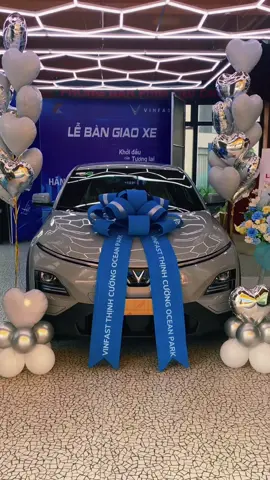 VF6 Plus TC2  #vf6plus #vf6plustc2 #vinfast 