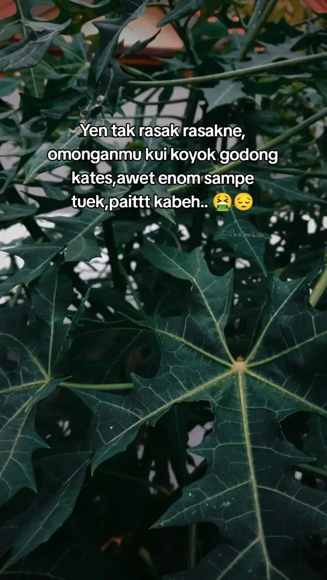 #storytime #masukberandafyp #jowostory 