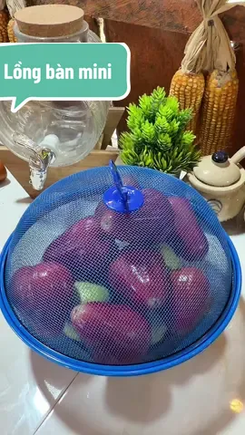 Lồng bàn mini #tieungoc #cachlai #dogiadung #longbanmini 