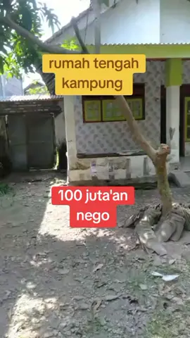 #rumahmurah #kabarkencong #jombangkencongjember