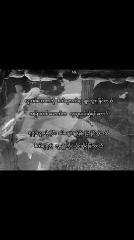 #စာတို #fypage #foryou @TikTok #foryoupage #fyp 