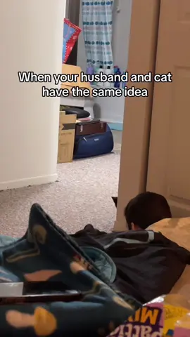 Hide-and-seek with the cat #funny #cat #fyp #catsoftiktok #usa 