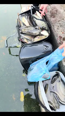 #phóngsanhcongducthuthanghanh🙏🏻🙏🏻 #adidaphat🙏🙏🙏 #địatạngvươngbồtát #phóngsanh #quỹnguyênkhang @Quỹ từ thiện nguyênkhang 