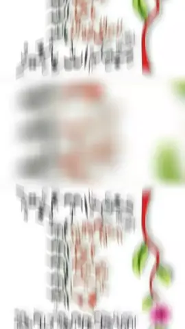 #قرآن_كريم_راحة_نفسية #صباحكم_معطر_بذكر_الله #صباح_الخير 