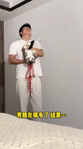 Жиржириска — это пушистый шедевр в костюме маленькой ведьмы: с черной остроконечной шляпой, украшенной оранжевыми бантиками, и забавным накидкой с золотистой каймой, которая идеально подчеркивает его кругленькие формы и огромные удивленные глазки! 😻 Он сидит на стуле, как настоящий хэллоуинский босс, и явно готовит какое-то кошачье заклинание. Что еще добавить к его образу?