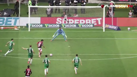 seremos❤️🖤#libertadores #finaldalibertadores #❤️🖤 #palmeiras #flamengo 