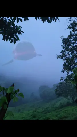 I see something in the distance..... Wonder what it is? #Whitewhale #Rezero #Subaru #Animefyp #recommendations 