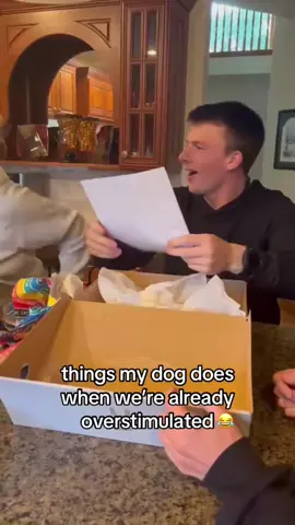 His food now 😂#thanksgiving (🎥:@lifewithbeanandkoa) 