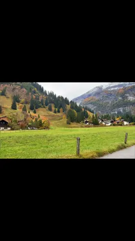 هاجر وعيش حياتك 🇨🇭. . #سويسرا #المانيا #الهجره #الغربه #اليونان 