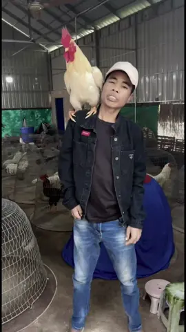 Lính mình nay lm thú cưng luân rồi nha anh em ơi🥰🥰#viral #tonhon #xuhuong 