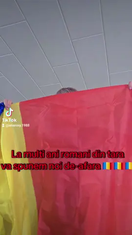 #1decembrie #viral #flypシ 