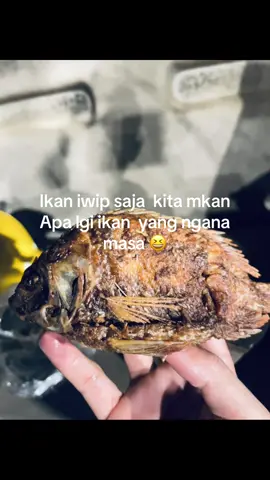 #storyanaktambang #ikanmujair MASI FUL APD 😖😂#fypage 