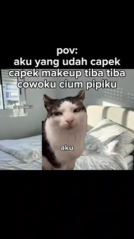 dikira pake makeup galama😡 #meme #memekucing #kiyotakiiii #fyp #kucinglucu 