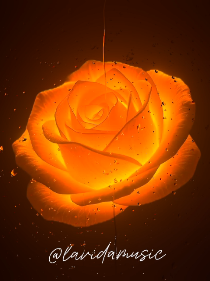 Golden Brown #lyrics #song #music 