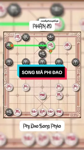 PHẦN 29 | PHI ĐAO SONG PHÁO | Đôi khi phải giả ngơ để đối thủ không biết ta là cao thủ 🤣🤣 #cothe #cotuong #caoky #thecohay #phidao 