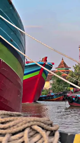 Pesona Macan Asia #asiamakmurgroupjuwana #nelayanjuwanapati #juwana 