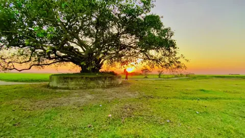 তুমি দেখিতে সুন্দর....!!🌿🫀😅#প্রকৃতি #sky #unfrezzmyaccount #foryou #viralvideo @★彡 Ramjan 彡★ @kamrul_f5 