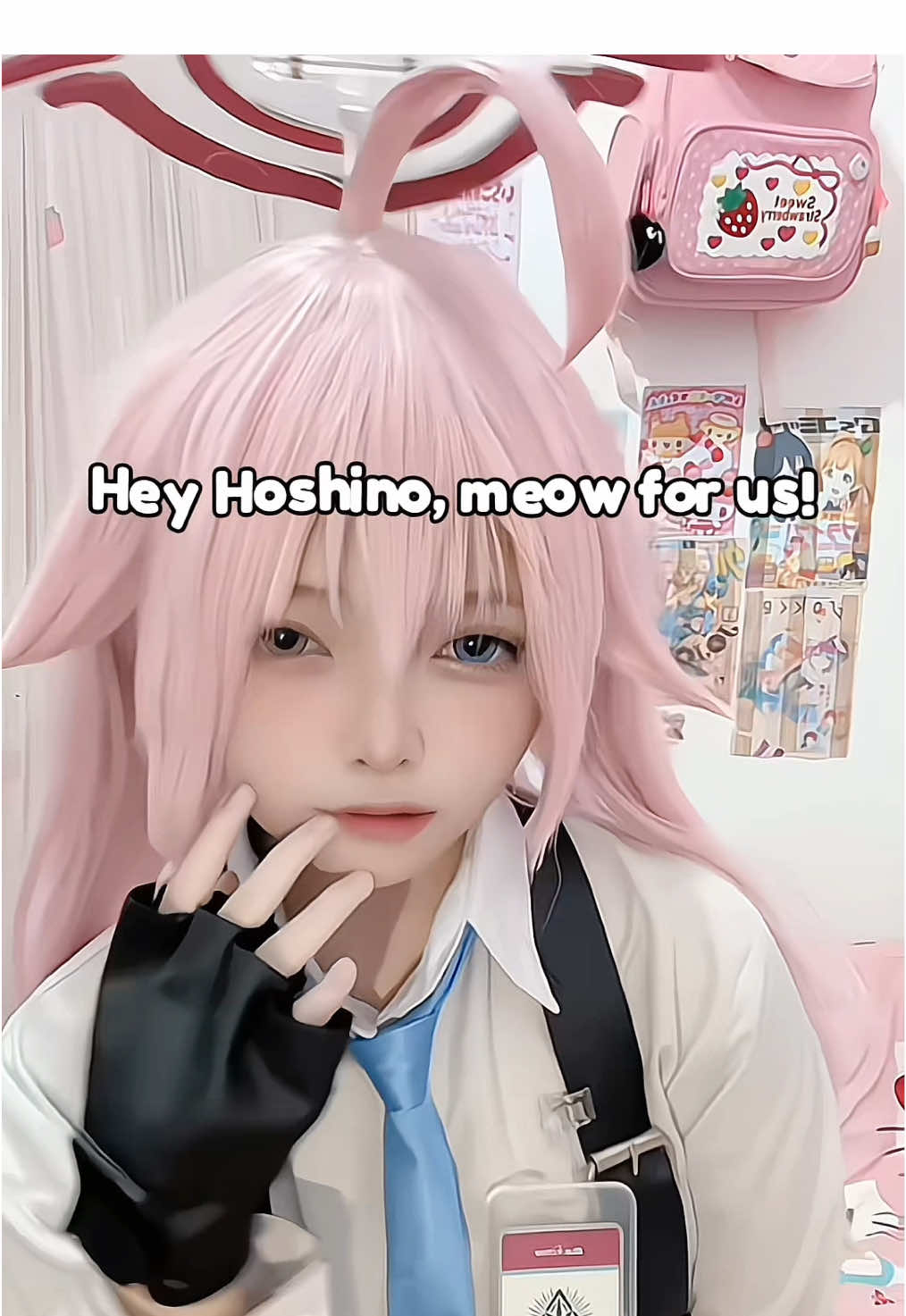 Meow (*ΦωΦ*) Meow Meow Meow Meow #cosplay #小鳥遊ホシノコスプレ #takanashihoshino #bluearchivecosplay #arsipbiru 