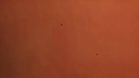 emotion>>🫶🇮🇹😩#viralitalyviralvideo #foryou #স্বপ্নের_দেশ_ইতালি_🇮🇹 #accountunfrreez #hasanofficial651 @SADIFA  NANI  @—͞Ｓɪᴀᴍㅤ🕸️ @SK JIHAD @Ꭱᴀʙʙʏㅤi!🦋 